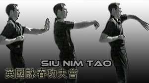 Siu Nim Tao